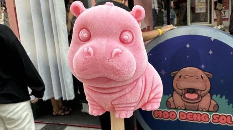 MOODENG币暴涨神话：迷因币还能火多久？