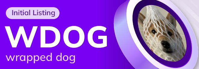 Wrapped Dog市场表现与投资策略