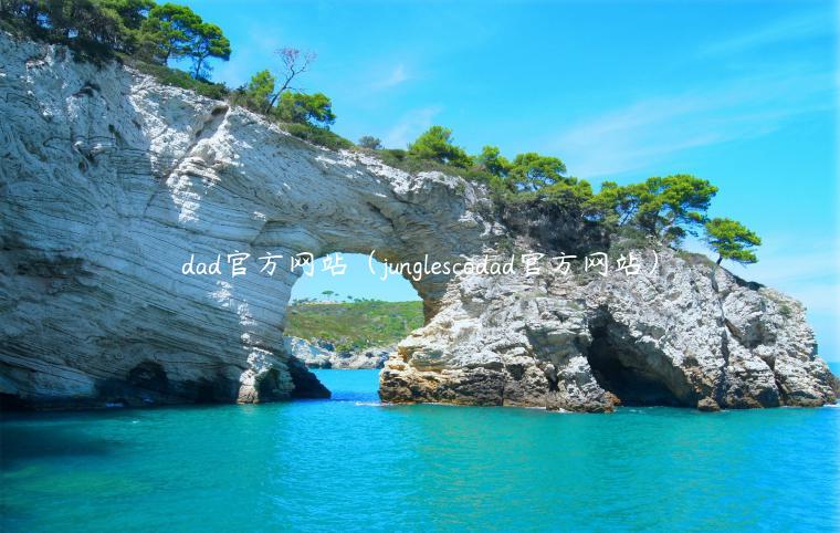 dad官方网站：新用户享30%高收益