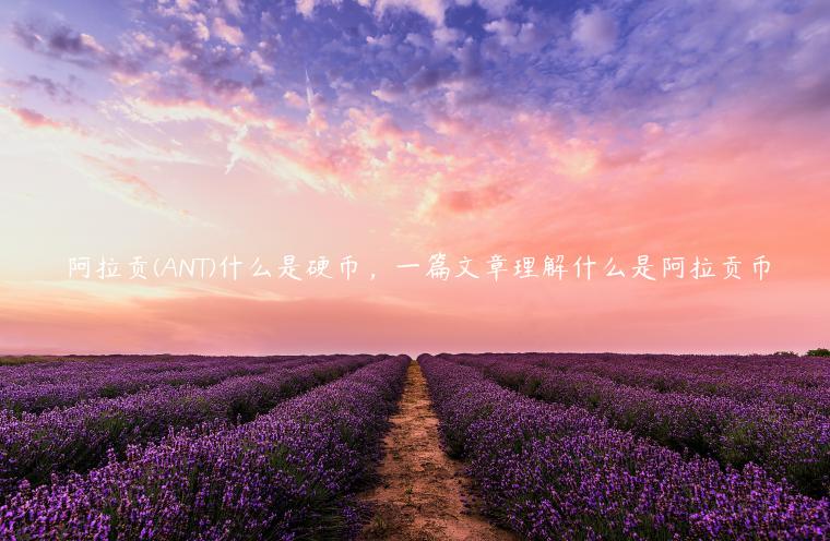 ANT币详解：阿拉贡币的独特价值与应用