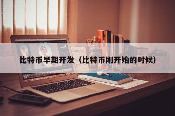 比特币早期开发揭秘：从创世区块到特斯拉投资