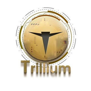 TT币未来：合并与分叉的抉择