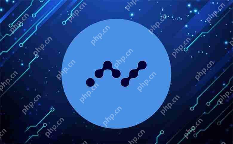 XNO币合约地址：革新支付的数字货币