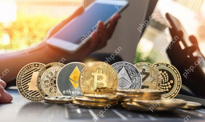 2025币圈App：交易所Top10榜单揭秘！