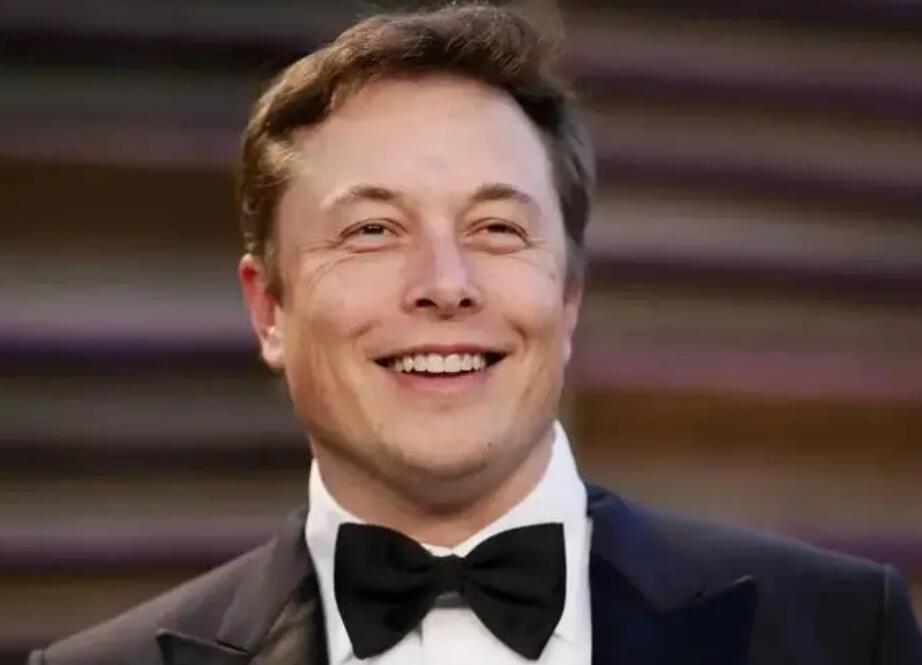 马斯克Meme币：暴涨神话与投资风险