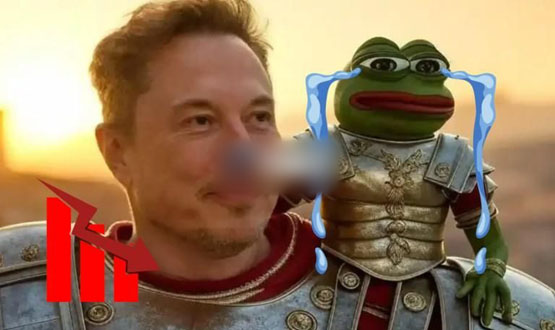 马斯克“变脸”：Kekius暴跌50%+！