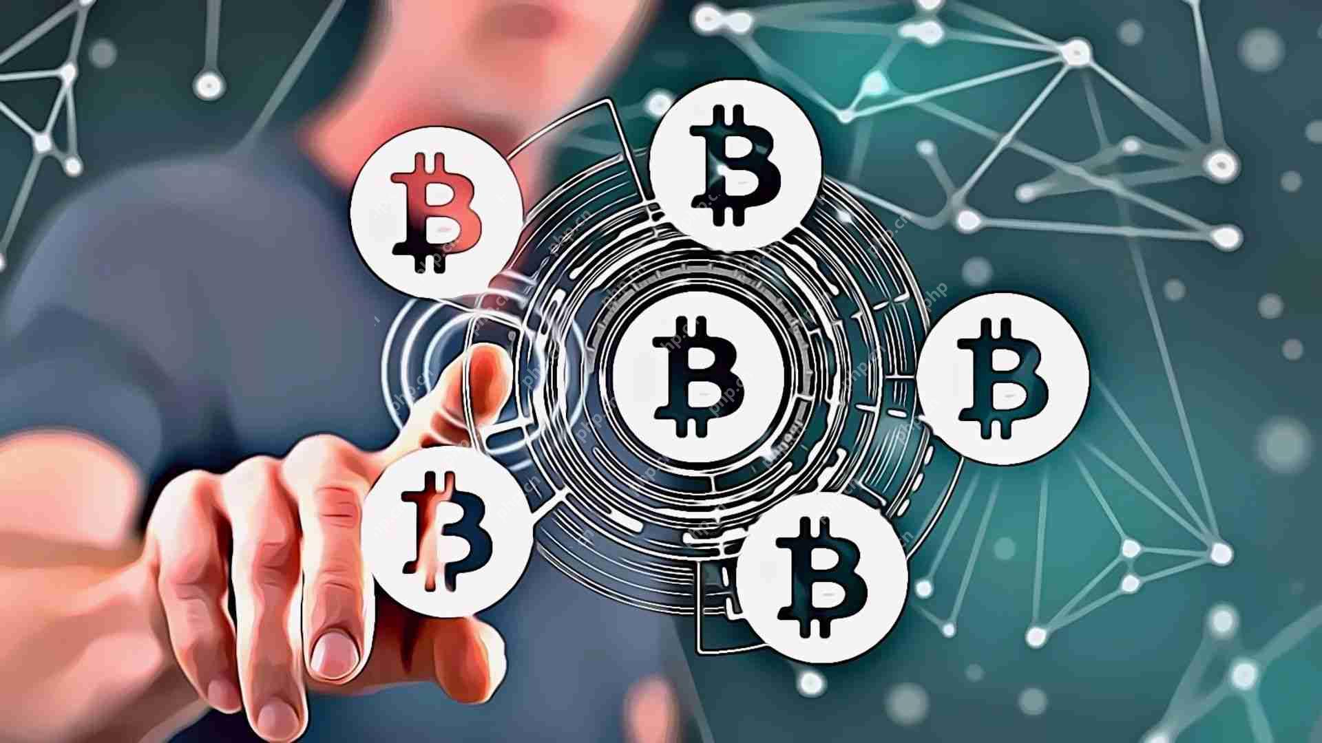 比特币生死线：2025市场关键抉择