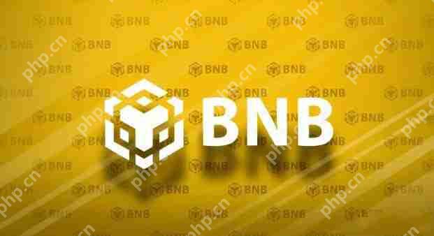 币安币(BNB)全攻略：用途、价值与空投技巧