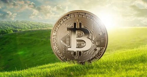 TLC币：物流区块链先锋，最高价0.05美元