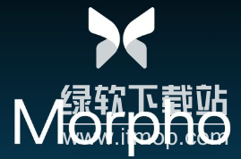 Morpho币核心团队：创始人背景揭秘