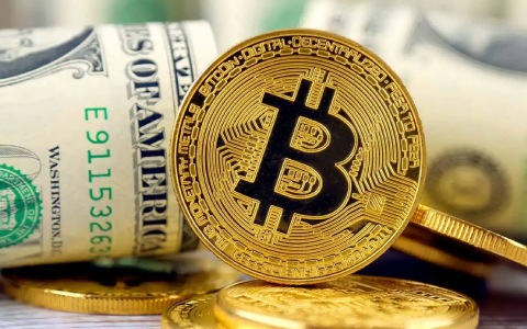 派币何时上线？热血精灵派回忆录