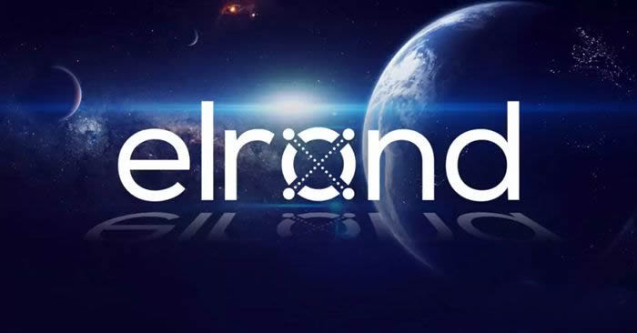 EGLD币发行量揭秘：总量、价值与未来