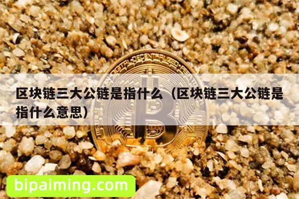 三大公链：定义、特性与应用场景解析